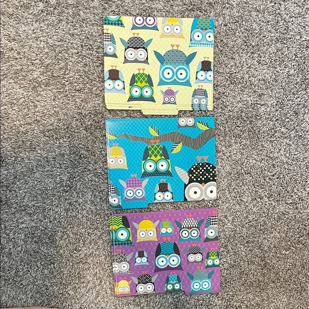 12 Colorful Owl Patterned Folders